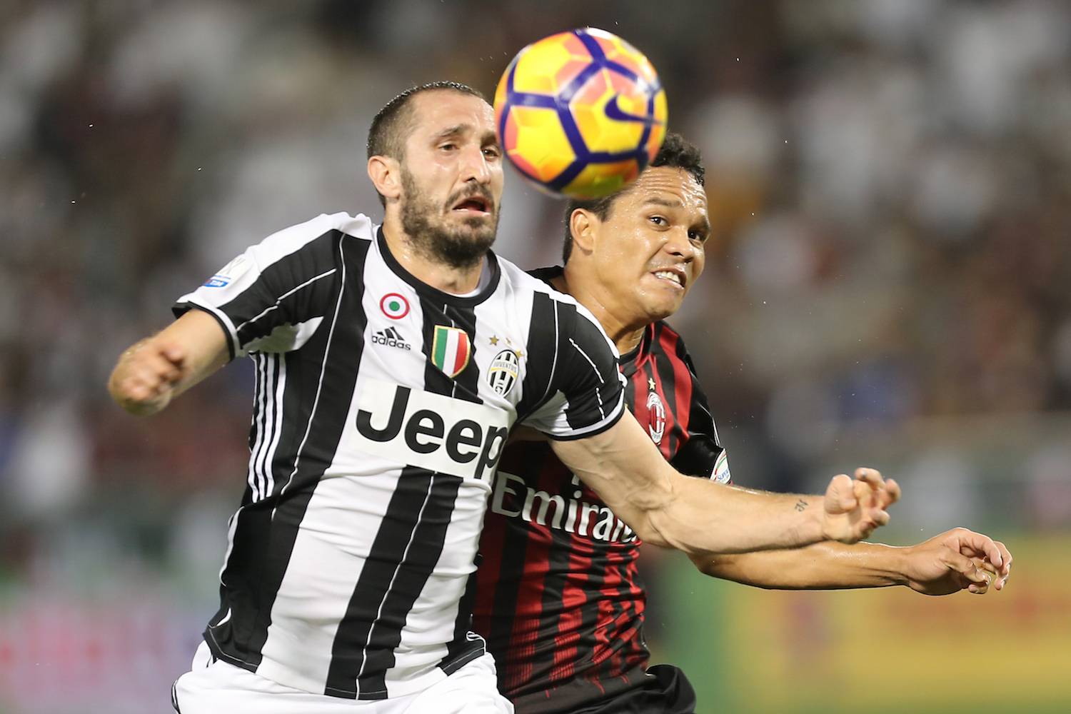 Bacca Chiellini