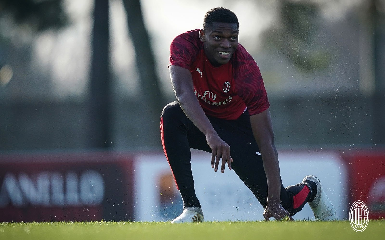 leao milanello