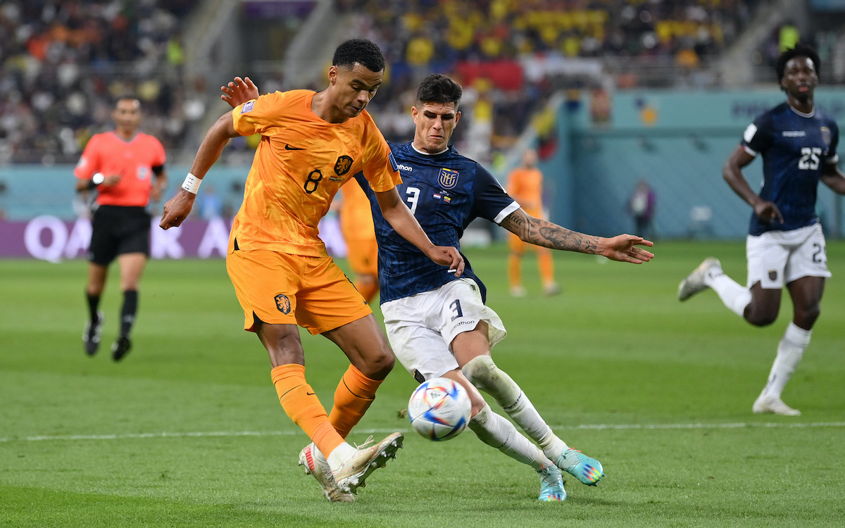 Cody Gakpo of Netherlands