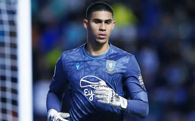 devis vasquez