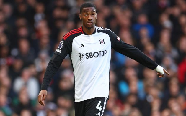 Tosin Adarabioyo of Fulham