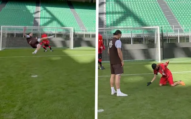 zlatan ibrahimovic