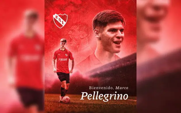 Pellegrino official loan