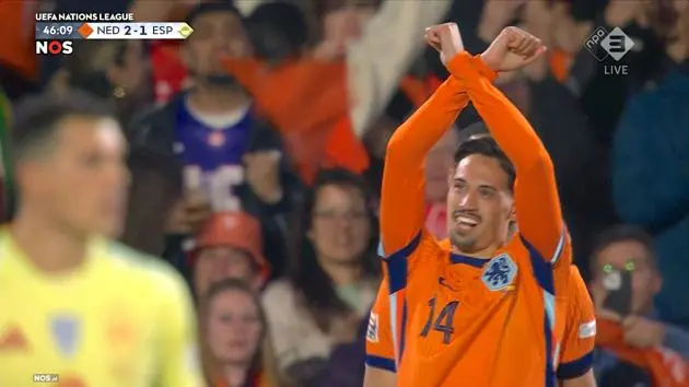 reijnders goal spain