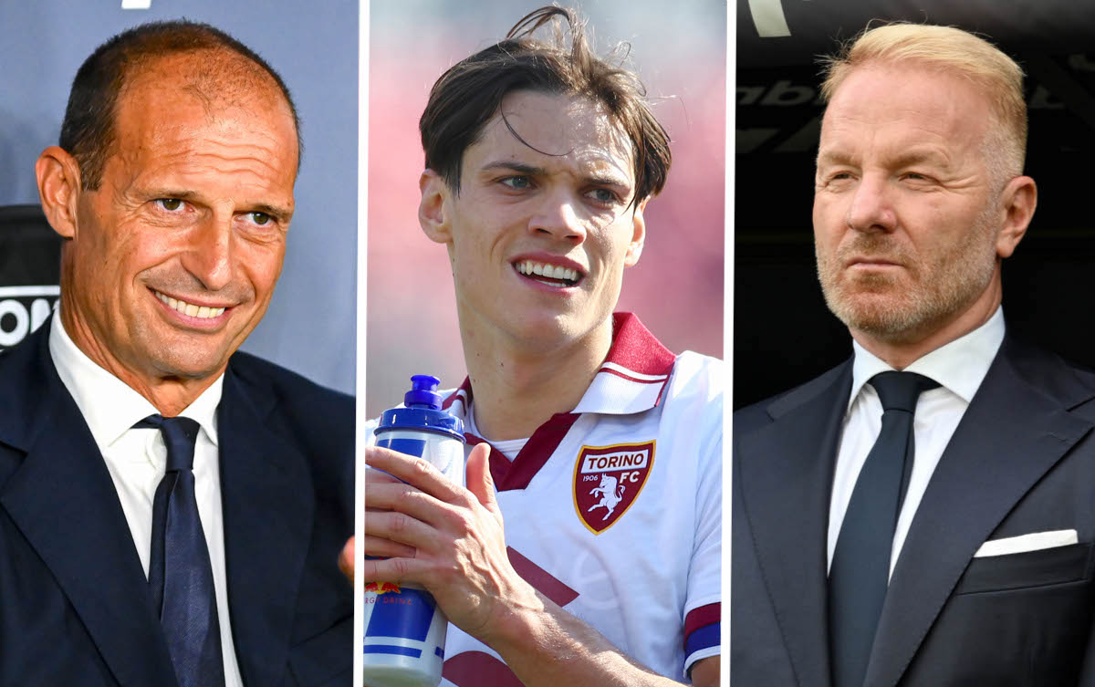allegri ricci tare