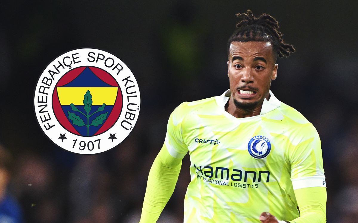 Brown Fenerbahce
