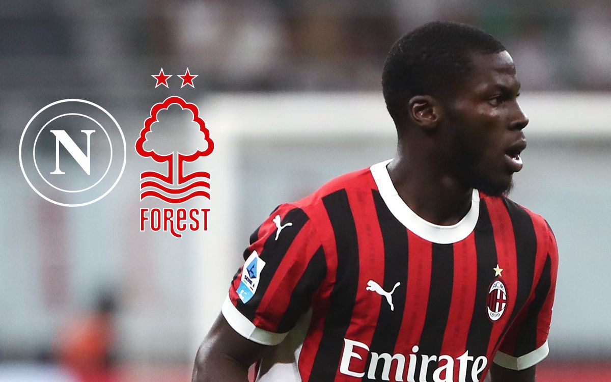 Musah Napoli Forest