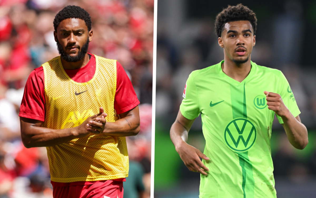 joe gomez david odogu
