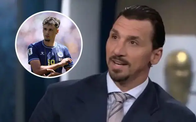 Ibrahimovic Alajbegovic
