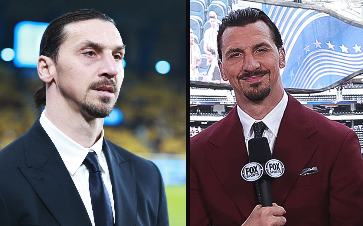 Ibrahimovic World Cup