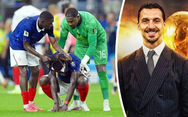 mike maignan france ibrahimovic